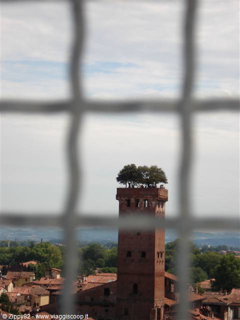 La torre del Giunigi vista dalla torre dell'orologio