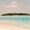 image of MALDIVES