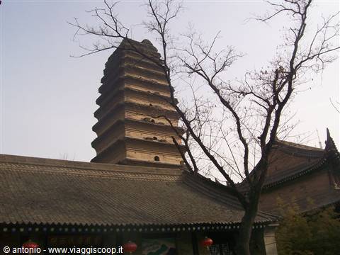 Piccola Pagoda dell'Anatra Selvatica