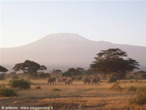 Amboseli(Kenya) e Kilimangiaro(Tanzania)