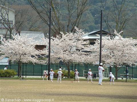 non sapevo che il baseball fosse così diffuso in Giappone...