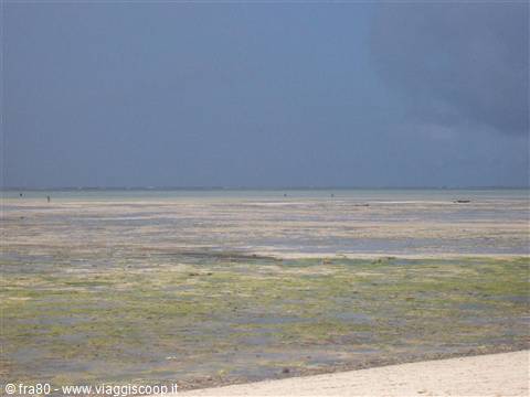 Spiaggia Jacaranda bassa marea
