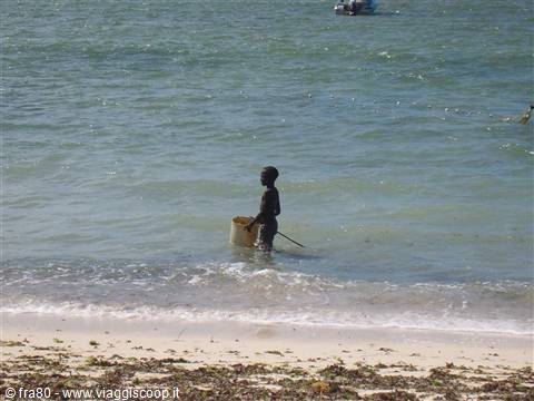 Piccolo pescatore sulla spiaggia del Jacaranda
