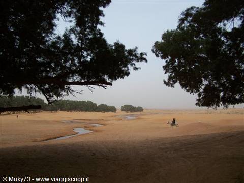 Deserto alle spalle del campo tendato di Ksar Ghilane