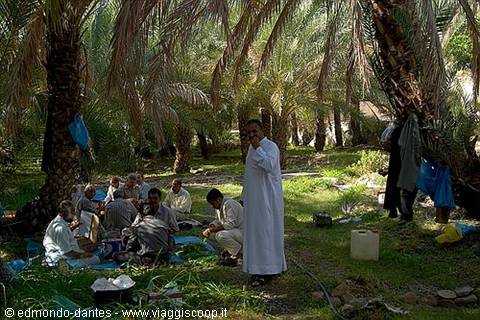 Un'oasi al confien con l'Oman