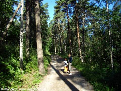 foresta di Tampere