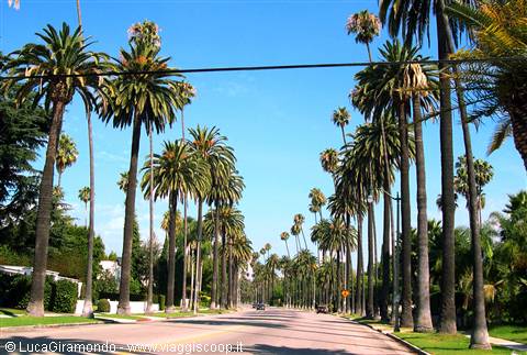 Los Angeles - Beverly Hills