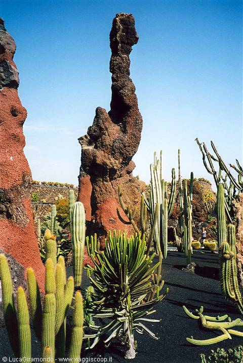 Guatiza - Jardin des Cactus