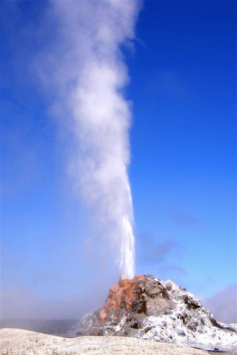 Yellowstone National Park: White Dome Geyser