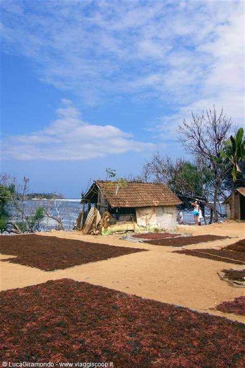 Nusa Lebongan