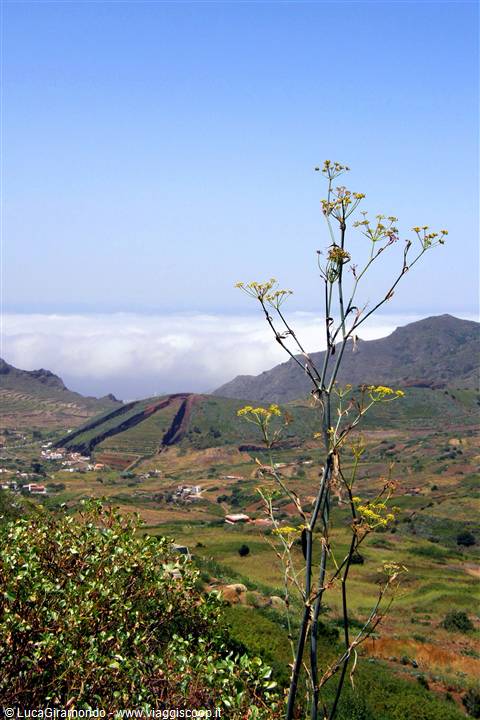 Valle de el Palmar
