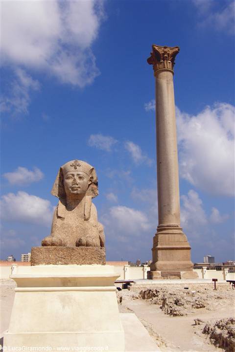 Alessandria - Colonna di Pompeo