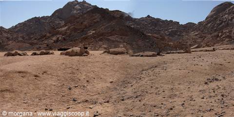 Cimitero beduino