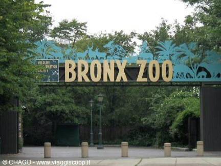 lo zoo del Bronx