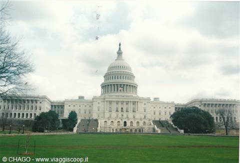 Washington D.C. - the Capitol