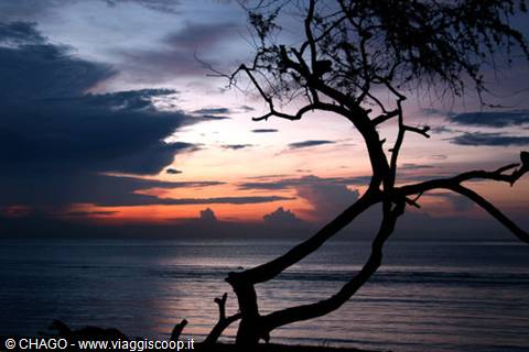 stupendi tramoti timorensi
