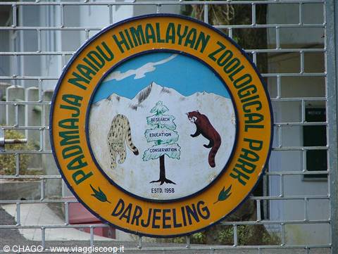 lo zoo di Darjelling