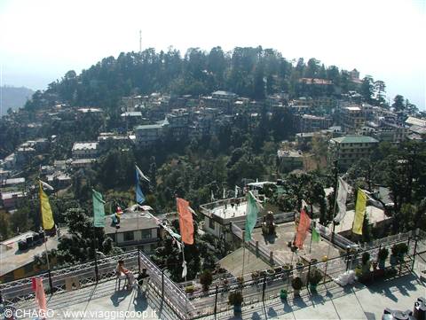 Dharamsala, stato del Himachal Pradesh