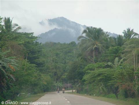 Palawan, strada nella giungla