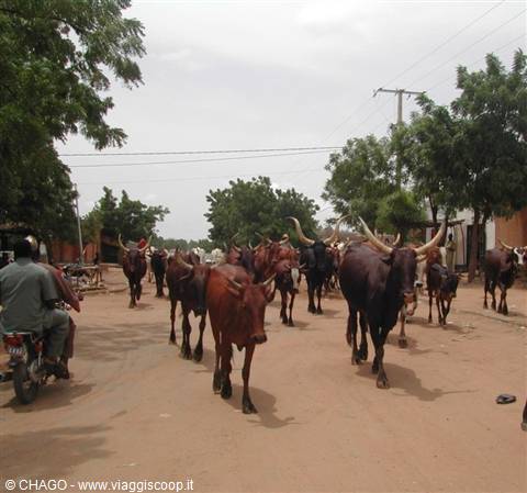 per le strade di Niamey