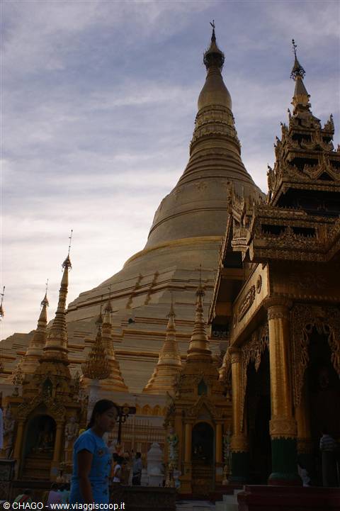 la Pagoda d'oro