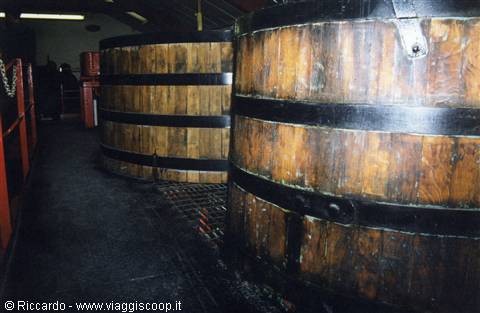 Distilleria di whiskey