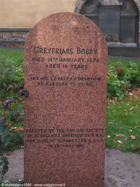 Bobby Greyfriars