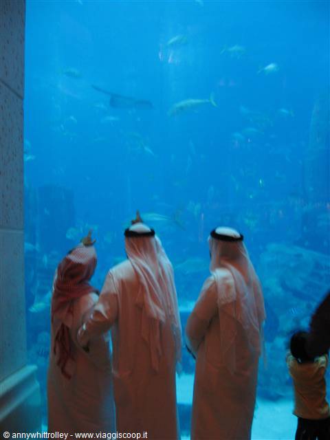 acquario all'interno dell hotel Atlantis