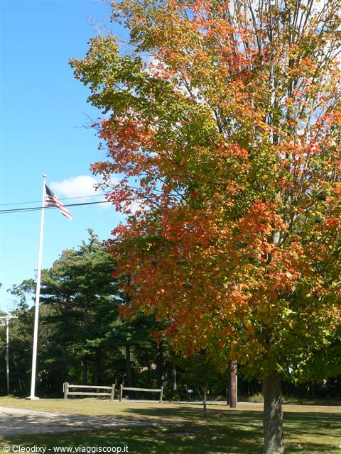 Fall Foliage in Duxbury MA