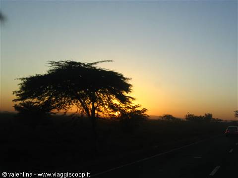 la famosa alba africana