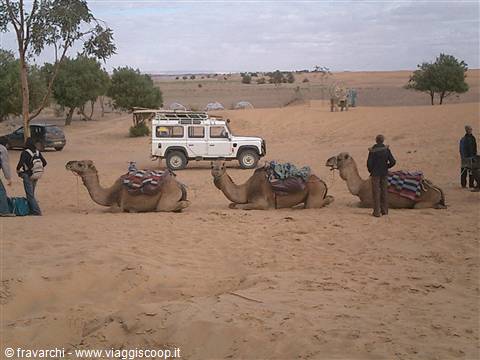 Per viaggi in Marocco   www.radoin-saharaexpeditions.com