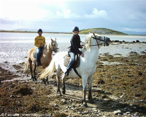 a cavallo nel fiordo della baia di Galway 
