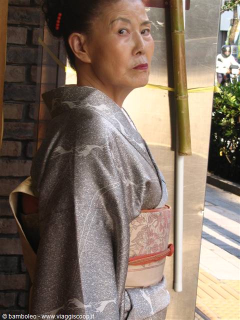 Geisha ad Himeji