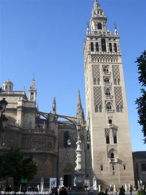 Cattedrale e giralda