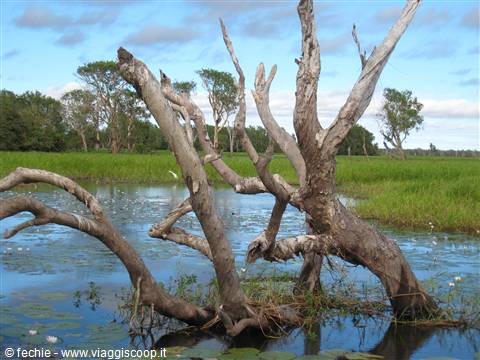 East Alligator River di Kakadu