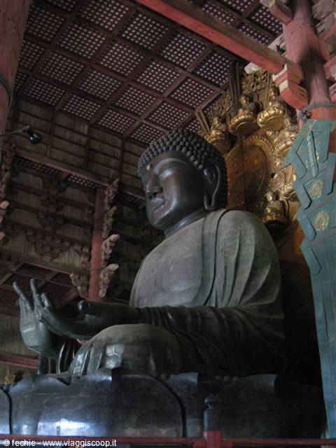 Nara - la grande statua del buddha Daibutsu