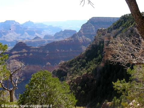 Gran Canyon - South Rim