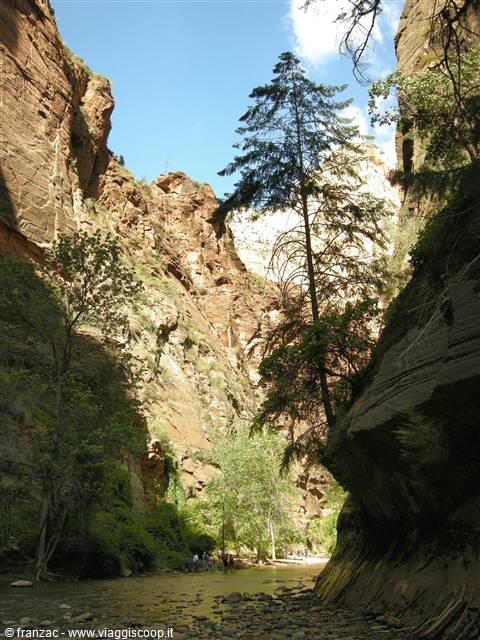 Zion Park - The Narrows and The Virgin River
