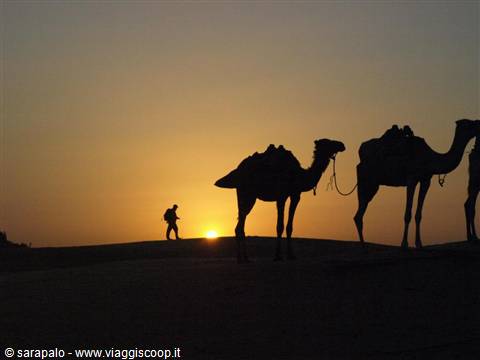 Tour, Viaggi , vacanze é aventure in Marocco 