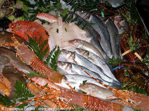 Tante varietà di pesce presso il Ristorante Da Maiuccia di Vigevano