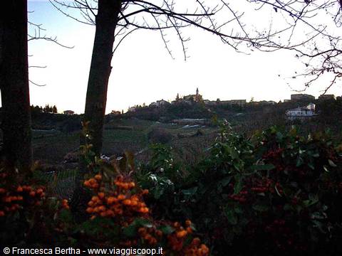 Castel Rocchero, vista da lontano