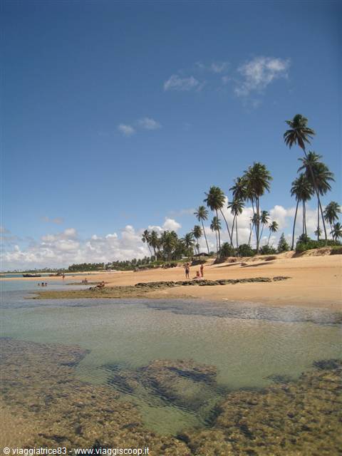 Guarajuba Praia do Carlinhos