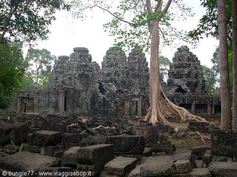 19 - Angkor - Ta Phrom