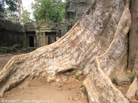 19 - Angkor - Ta Phrom - Io