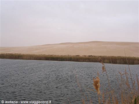 Bir wahe, lago nel Sahara