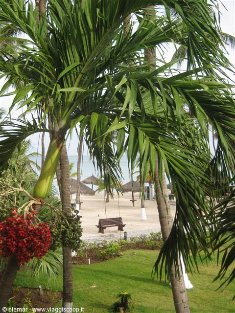 palm beach dalla stanza