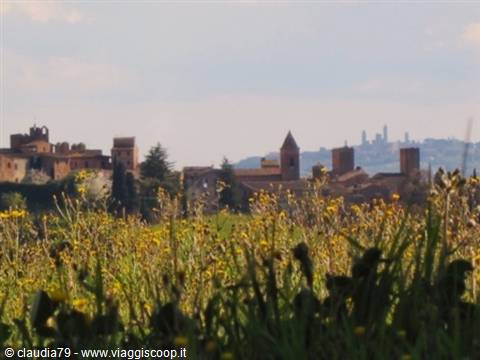 Nella campagna toscana: i borghi medievali di Certaldo Alto (FI) e San Gimignano (SI)