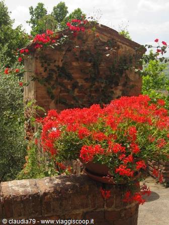 Primavera in Toscana: il pozzo in fiore del borgo medievale di Certaldo Alto (FI)