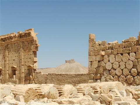Palmyra, la fortezza