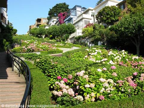 San Francisco: Russian Hill/Lombard Street